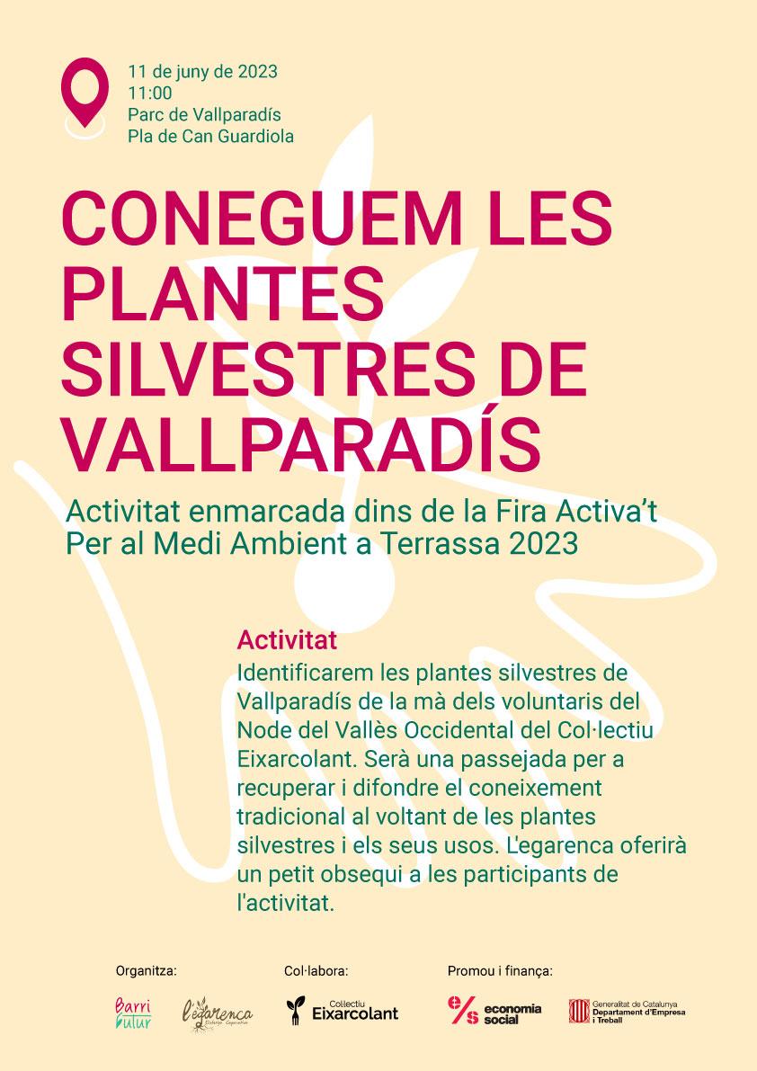 Coneguem les plantes silvestres de Vallparadís
